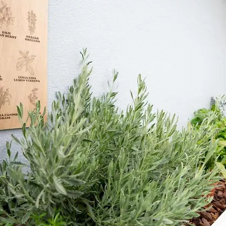 샬레 Starry View 푼샬