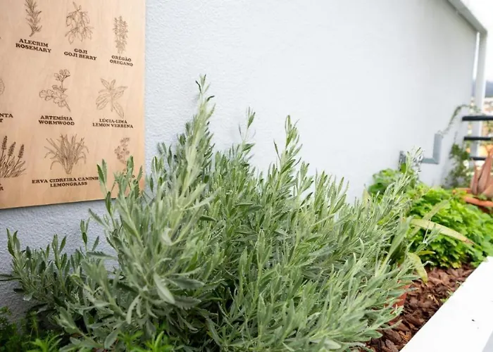 Chalet Starry View Funchal (Madeira)